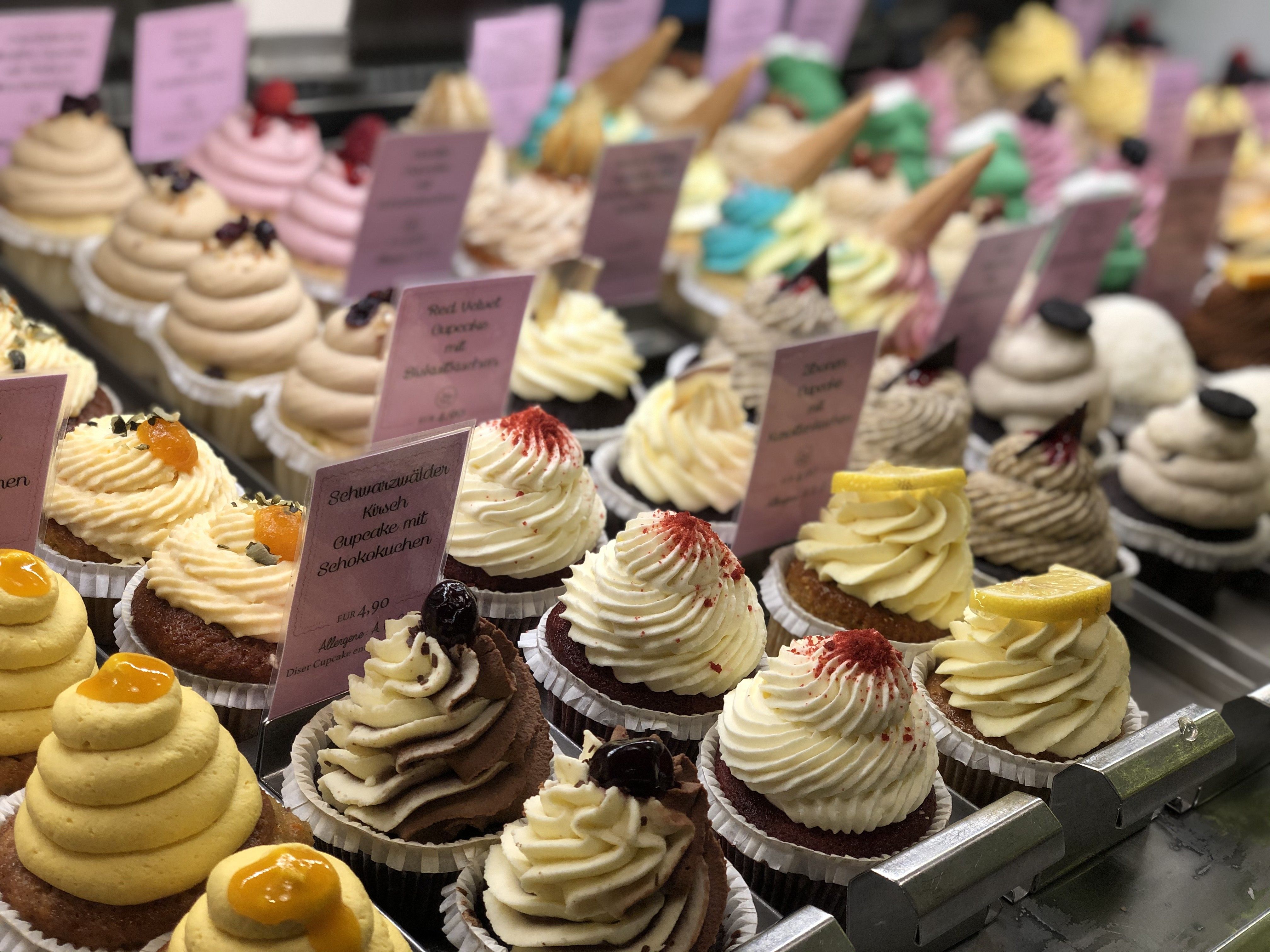 Mehrere Cupcakes verschiedener Sorten in einer Vitrine aufgestellt