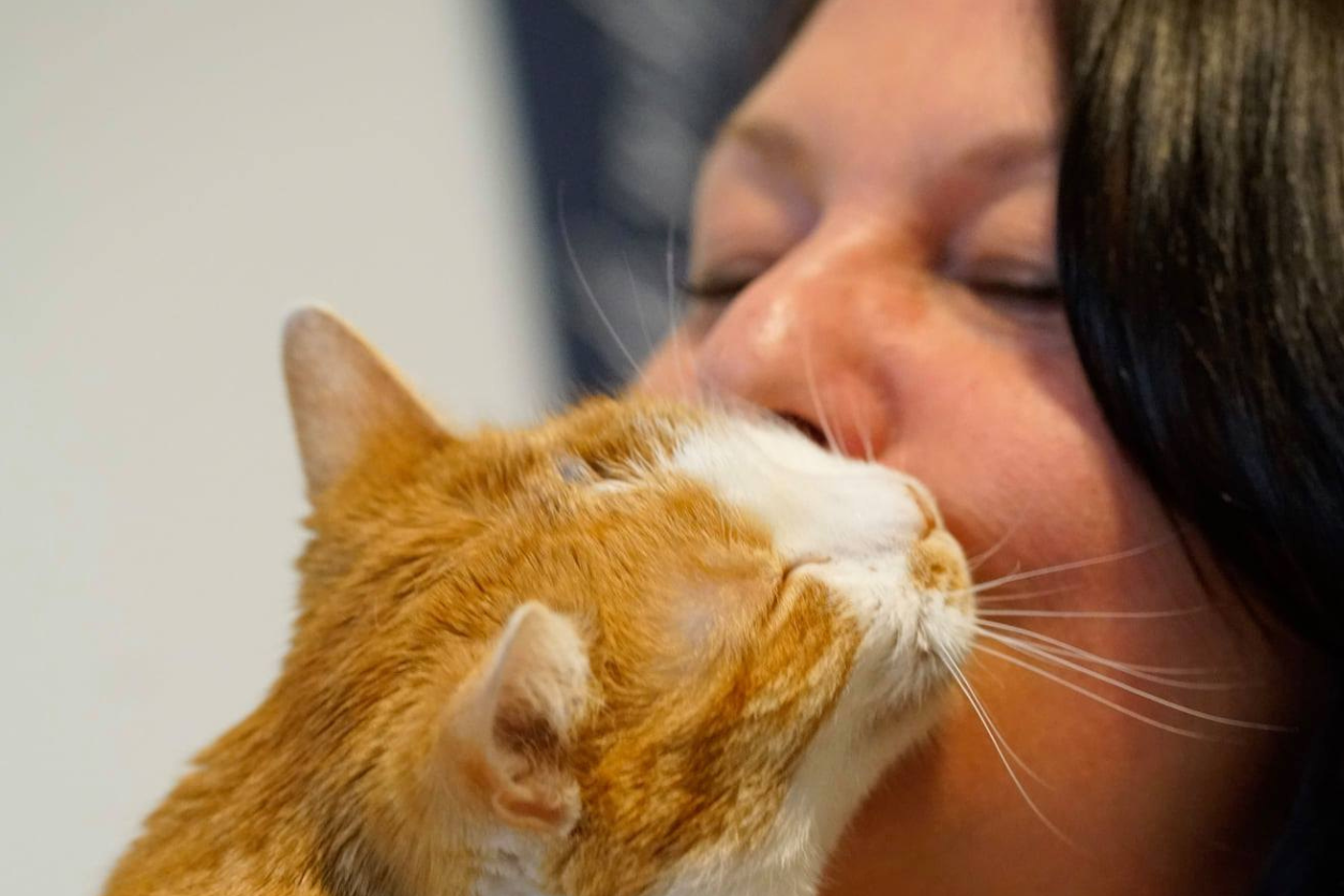 Foto: Eine Frau küsst eine Katze