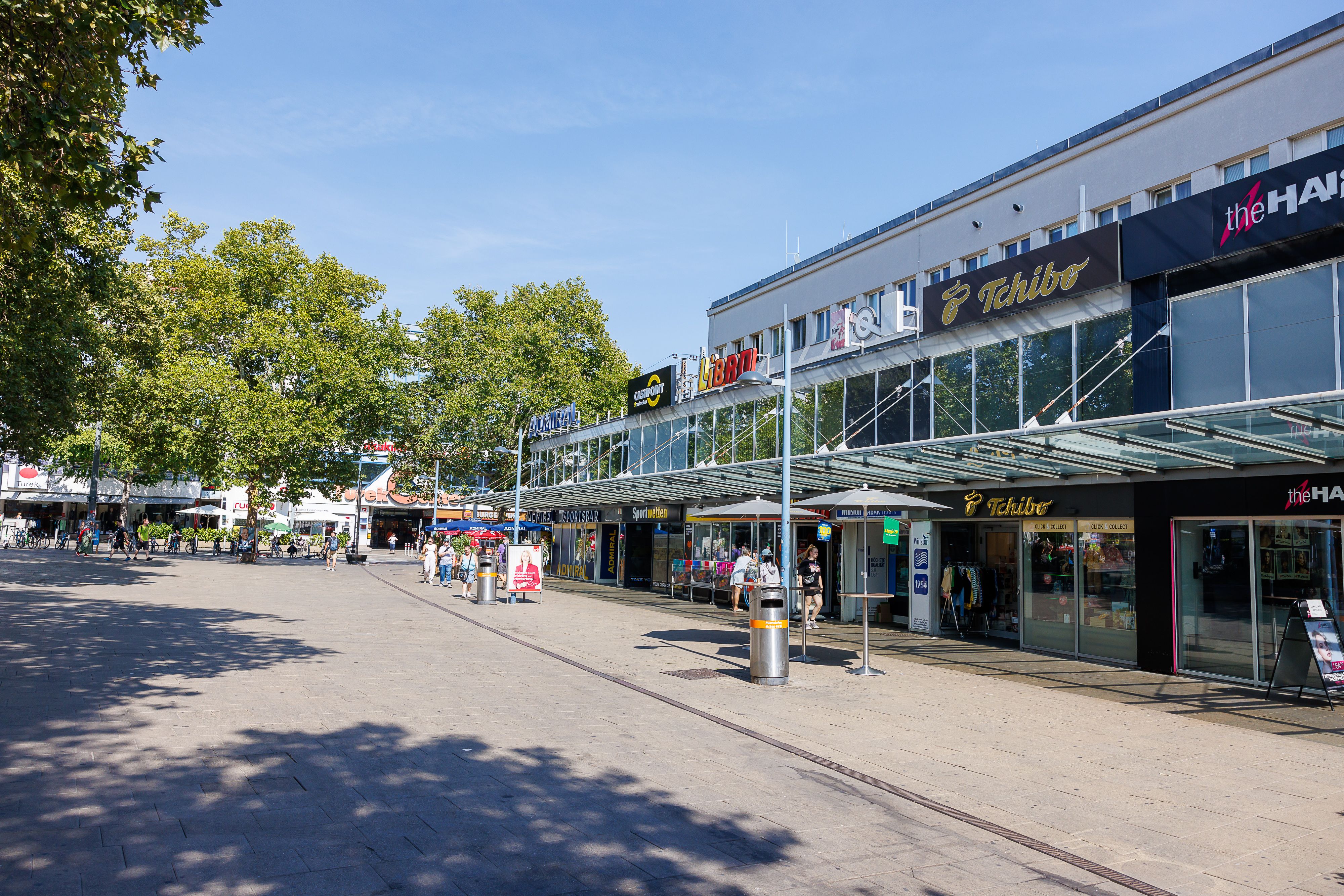 Spitz Floridsdorf