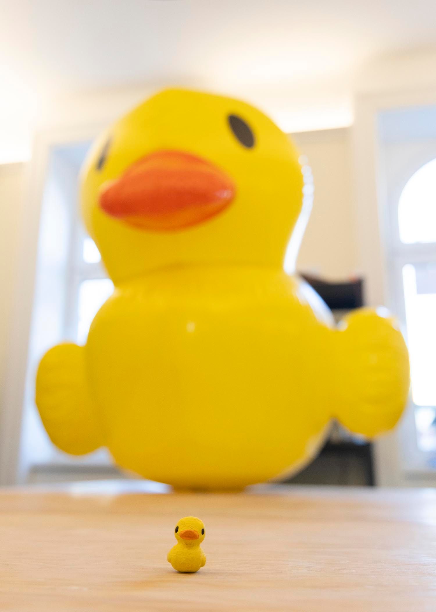 # Bruno-Marek-Allee Straßenfest : Tag der Ente-HIDDENDUCKBRUNNENVIERTEL