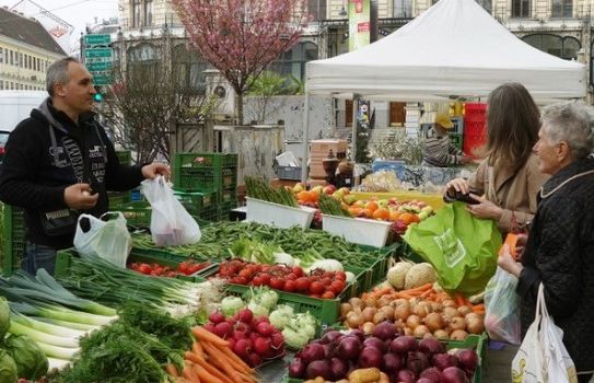 Marktstandl mit Gemüse. Menschen bestellen gerade etwas