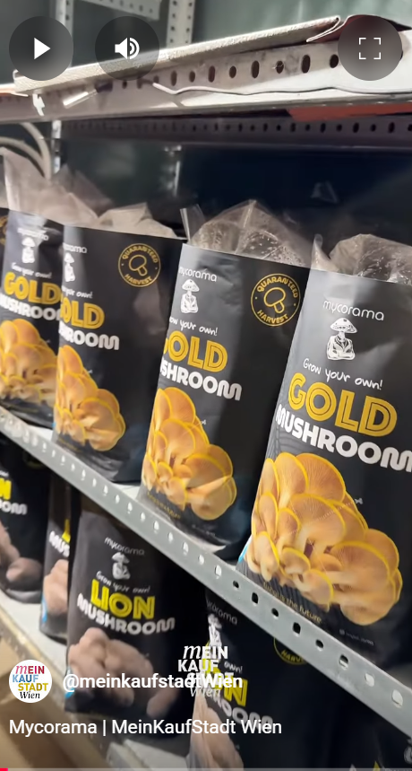 Hintergrundvideo: Mycorama