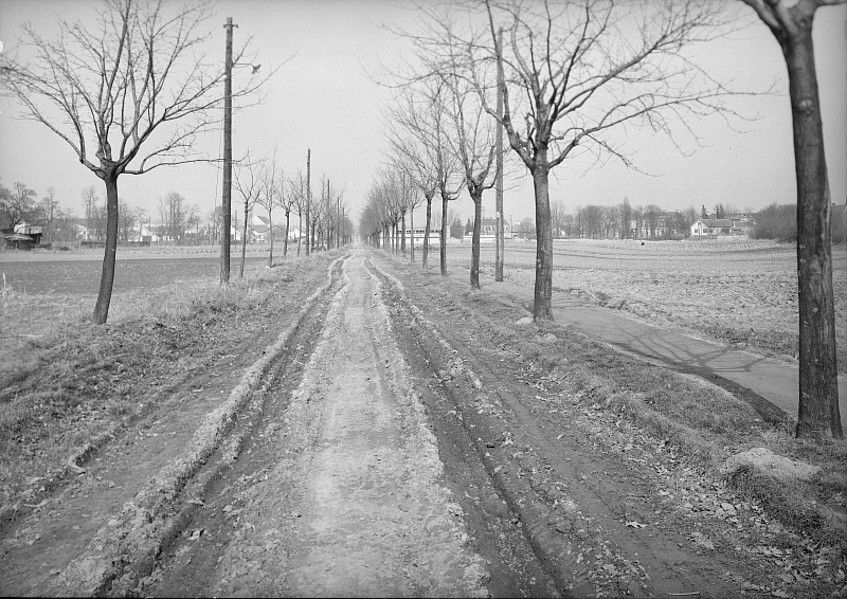 Foto: Aspern früher