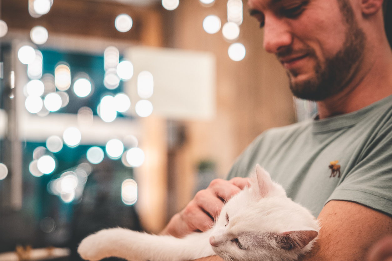 Mann der Katze streichelt