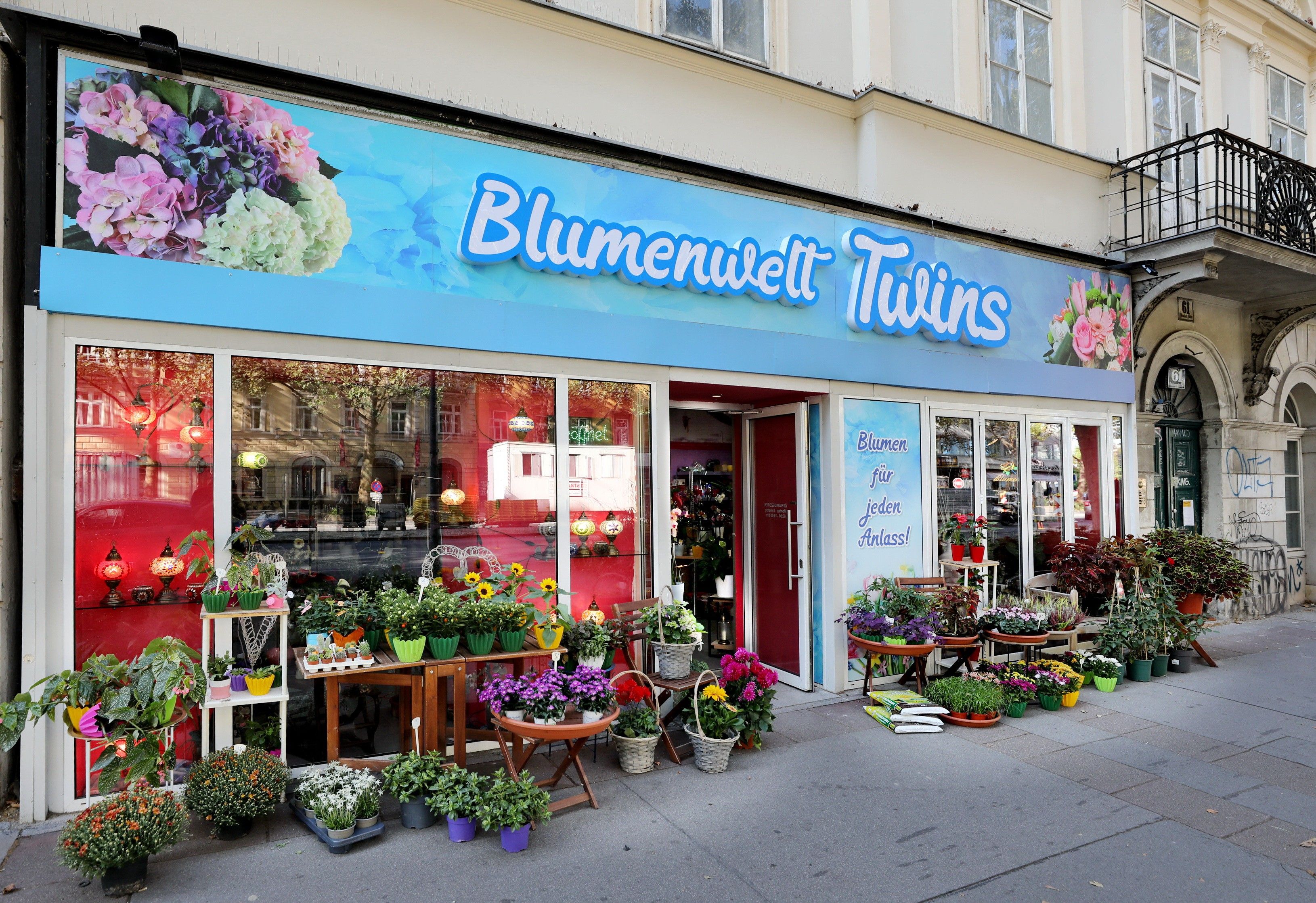 Außenbereich von Blumenwelt Twins mit vielen bunten Blumen und Grünpflanzen