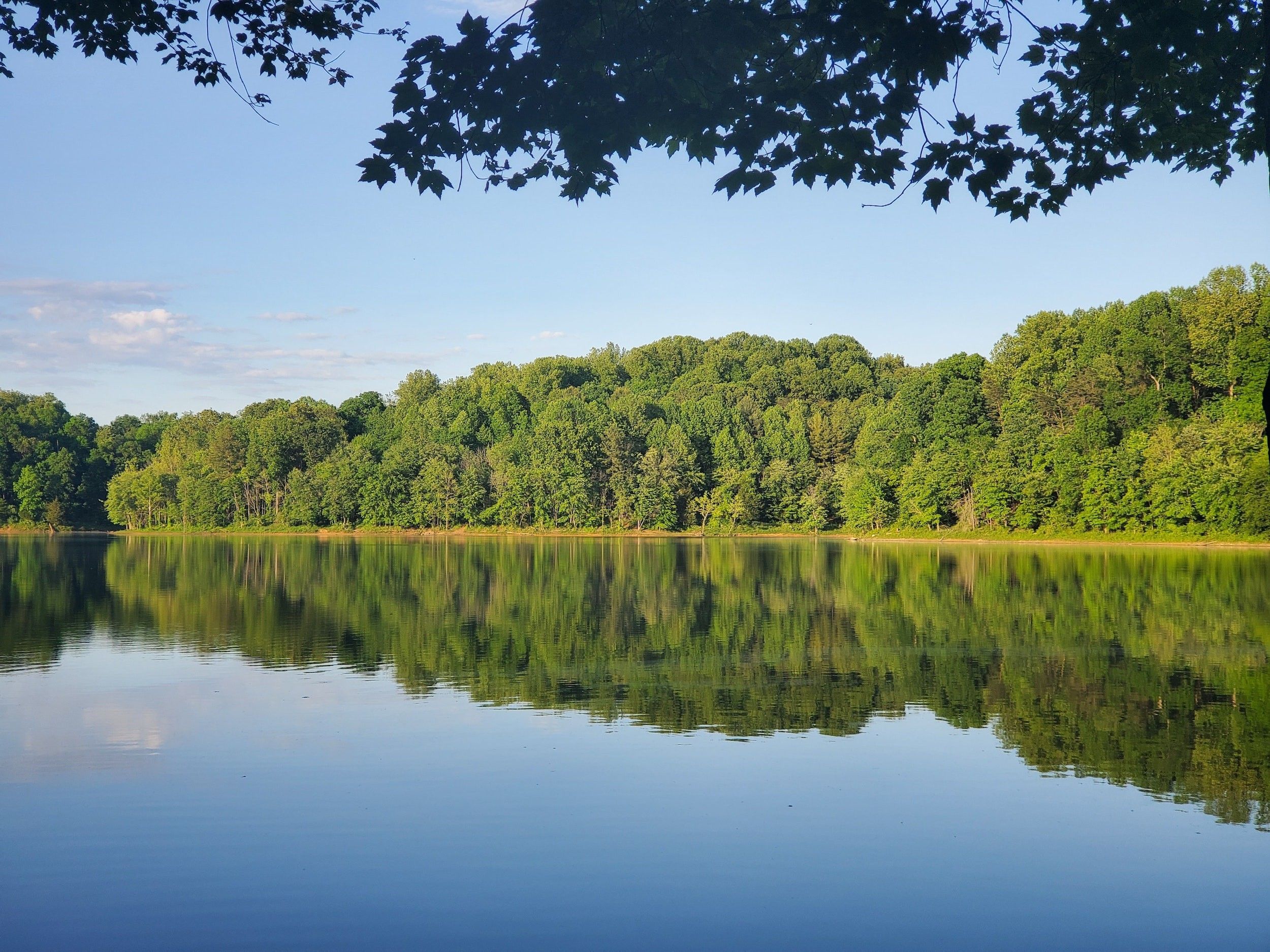 Zeigt die Gewässer der Lobau