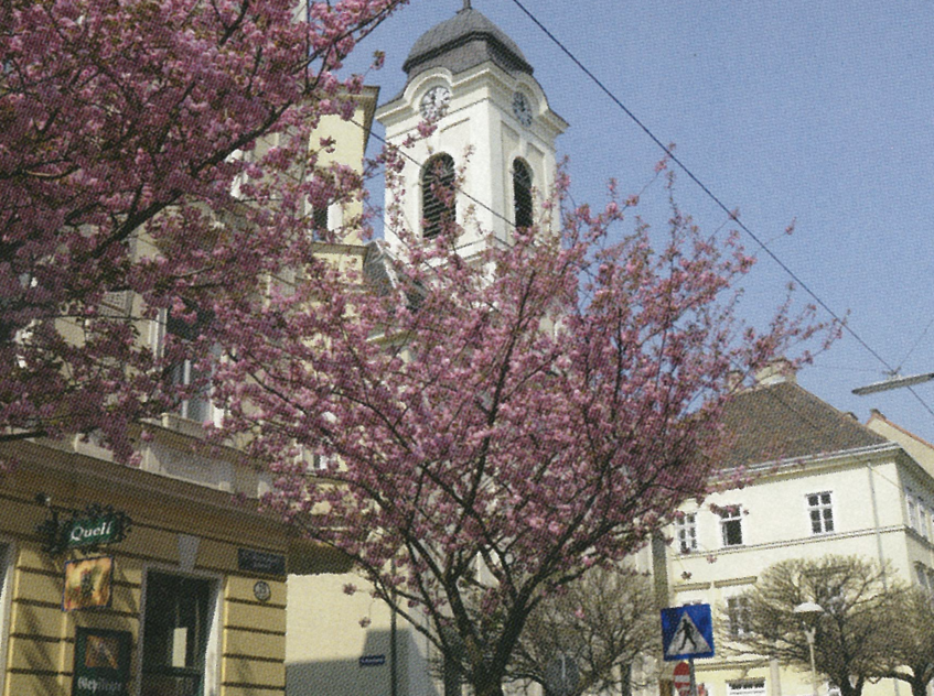 Foto: Reindorfgasse Kirche und Kirschbäume die blühen